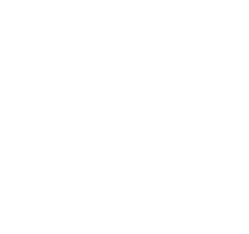 Tokligence logo